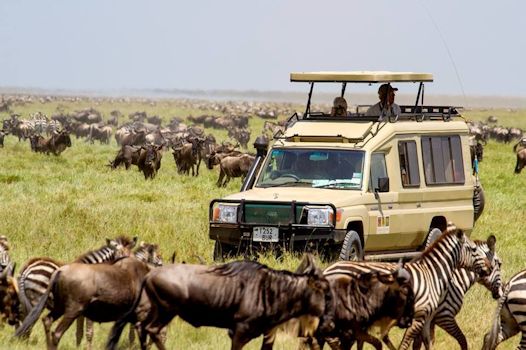 Serengeti National Park in Tanzania - Page 12