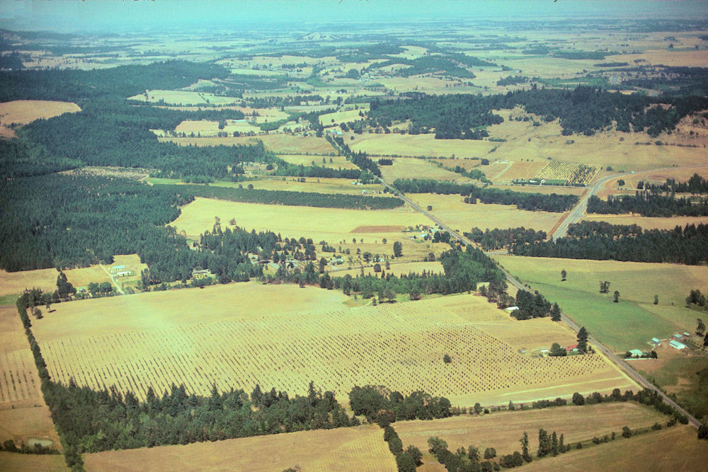 Fly to Nut Tree Restaurant, Vacaville, California