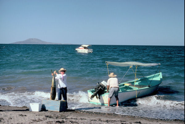 We Return from Fishing