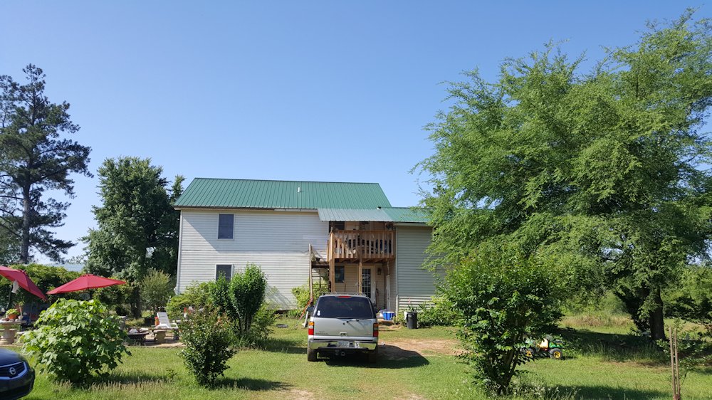 Paulette James Home Back  