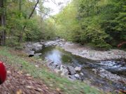 Great Smoky Mountain NP Photo 20