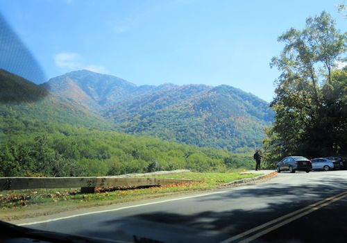Trips near Georgia Home - Scene 40