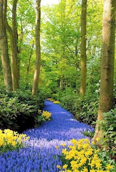 Amazement at the beauty