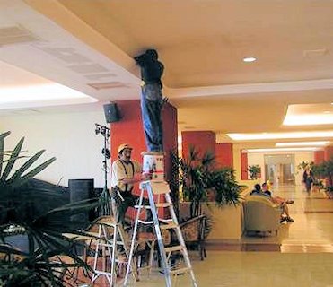 short ladders 
