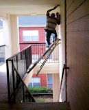 Paul Noll's Why Women Live Longer than Men  Page 30