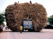 How Much is Full Load? Photo 3