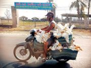 How Much is Full Load? Photo 7