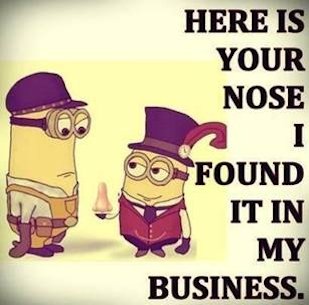 Minion Funnies Photo 2