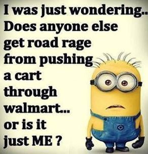 Minion Funnies Photo 4