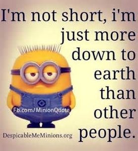 Minion Funnies Photo 6