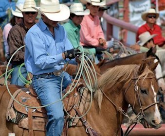 American Cowboy