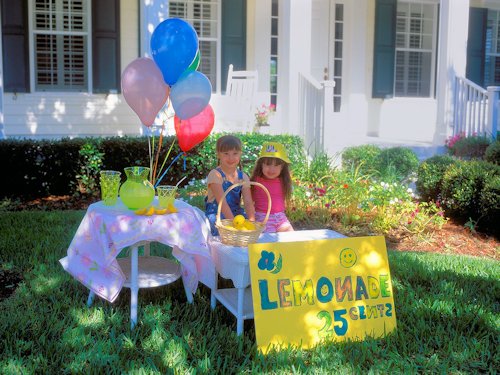 Lemonade Stand - Photo 177