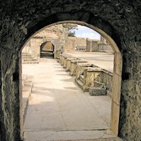 Roman Vomitorium