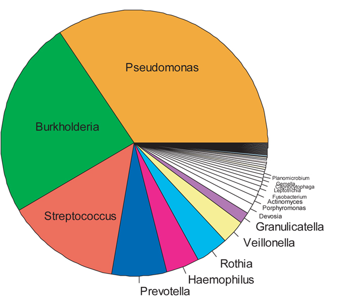 Sputum Color Chart