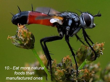 Eat More Natural Foods - Page 10