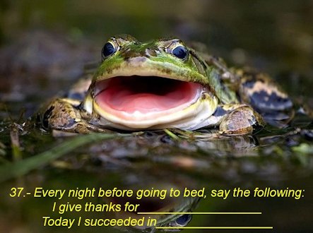 Every Night Give Thanks - Page 37
