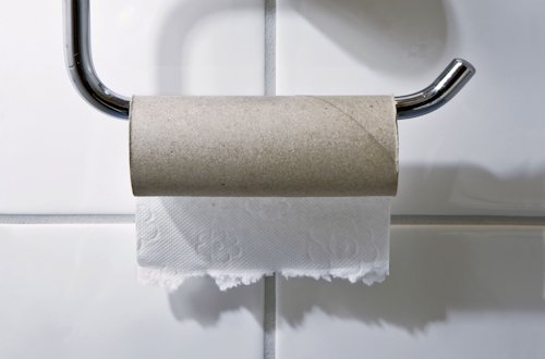 Roll of Toilet Paper End - Page 3