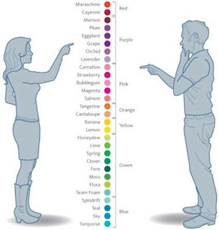 How Men and Women See Colors 