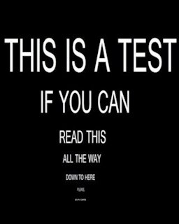  Idiot Test