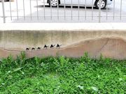 Some Fun and Delightful Street Art Photo 24