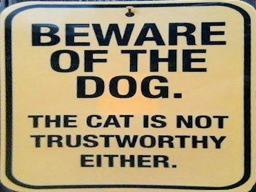 Warning! The Cat has Not been Declawed. - Scene 10