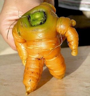 A carrot-shaped robot - Scene 2