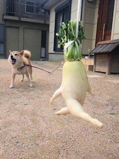 A turnip that wanted to run a marathon  - Scene 9