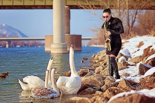 A Musician Appreciates an Attentive Audience - Scene 18