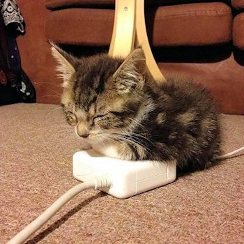 God Bless Iphone Chargers - Scene 7