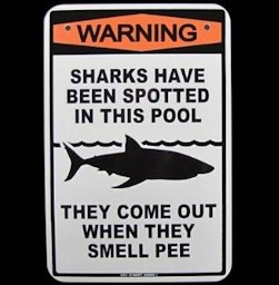 Shark's Sense of Smell is Well Known