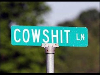 In the City of Dung Gulch