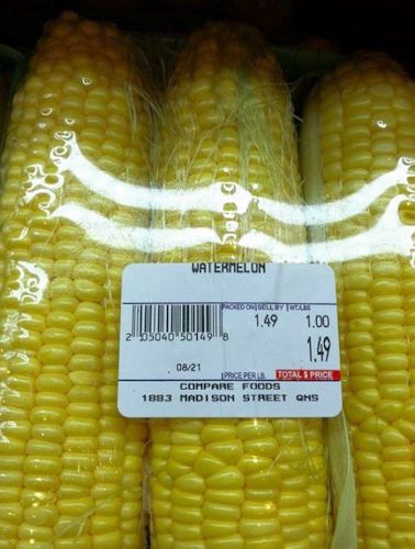 Plastic Wrapped Fresh Corn