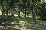 Woodlands