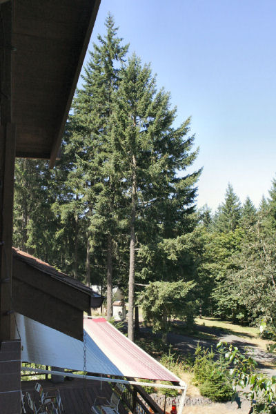 View form Balcony