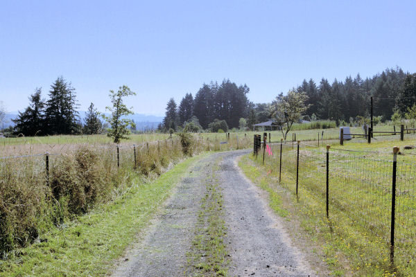 The End of Pierland Lane