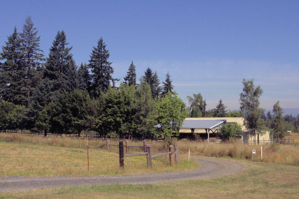 Beginning of our Driveway