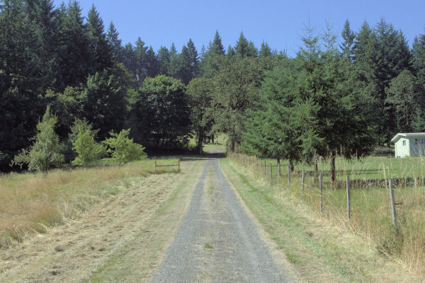 The Gate in the distance