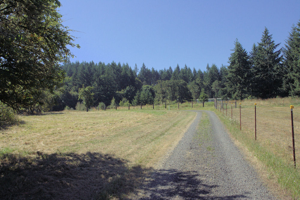 Our Long Driveway