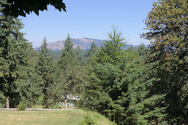 View of Mount Pisgah