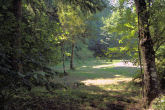 East Meadow