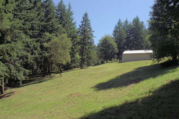 Meadow behind the Shop