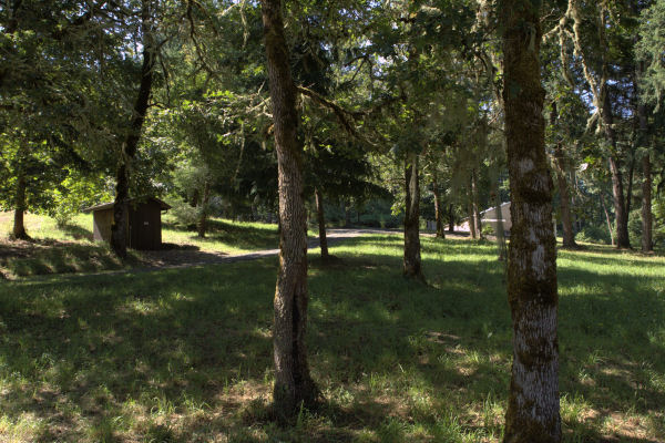 Our Woodlands