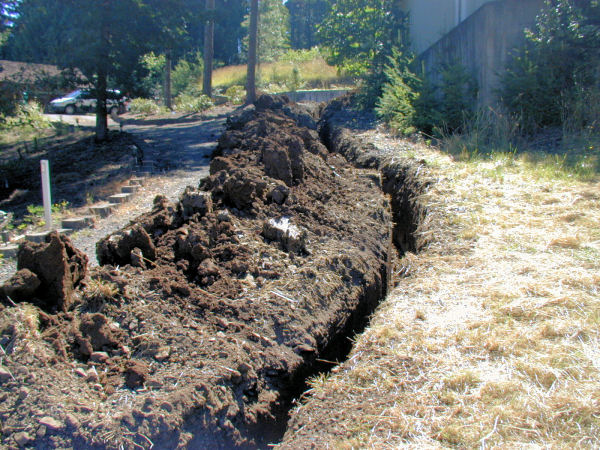 Looking Back Up Trench Down Driveway