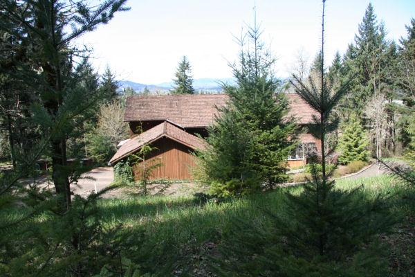 Area on the South above the House