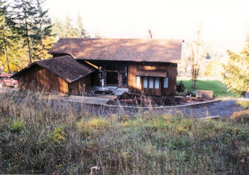 Front yard from Above South