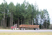 Log Trucks