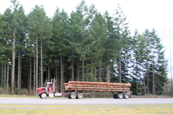 Log Truck