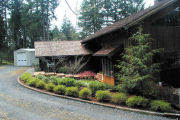 Newly Planted Front Yard 27