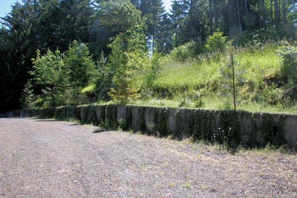 Concrete Retaining Wall 75