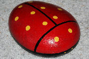 Lady Bug 91